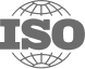 ISO/IEC 19794-7:2021 standartas